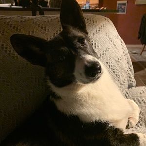 Meet your Posher, Terri